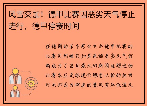 风雪交加！德甲比赛因恶劣天气停止进行，德甲停赛时间